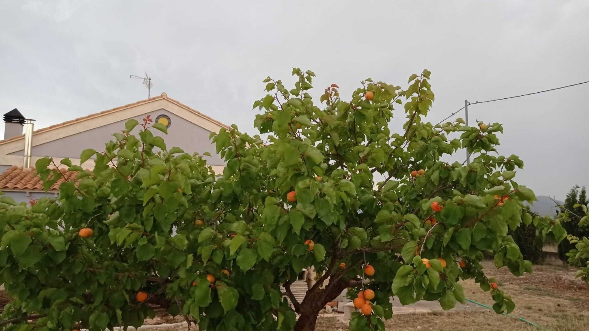 Revente - Villa Individuelle -
Yecla