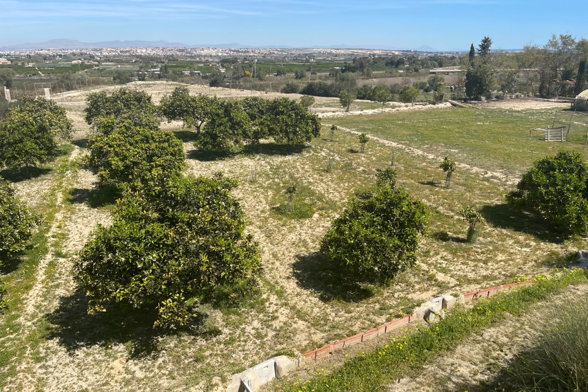 Revente - Villa mitoyenne -
Guardamar del Segura - Valencian Community