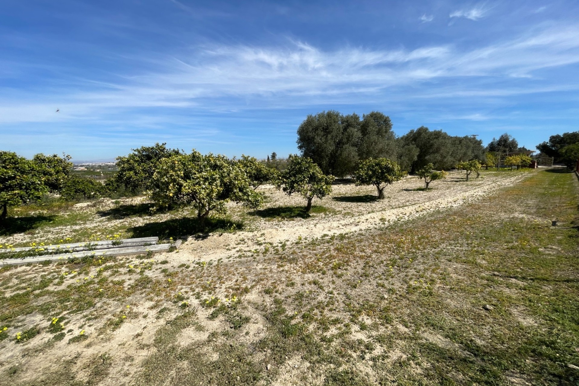 Revente - Villa mitoyenne -
Guardamar del Segura - Valencian Community