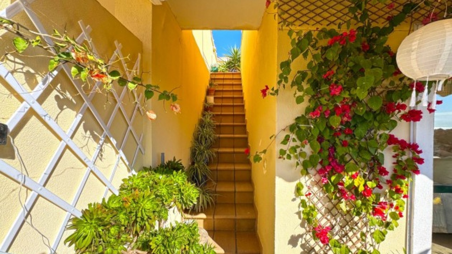 Revente - Villa mitoyenne -
Orihuela Costa - 0