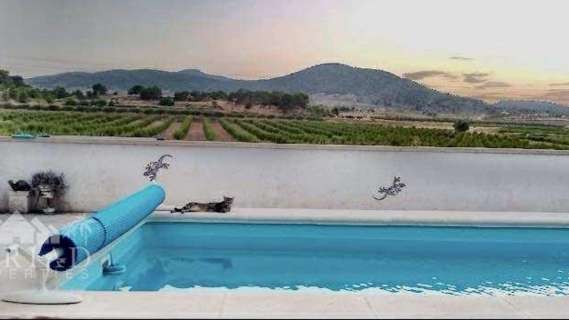 Revente - Villa -
Yecla - Yecla Murcia