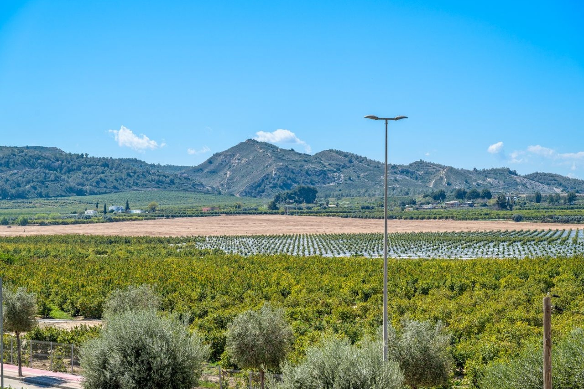 Sale - Apartment Flat -
Algorfa - Fontana