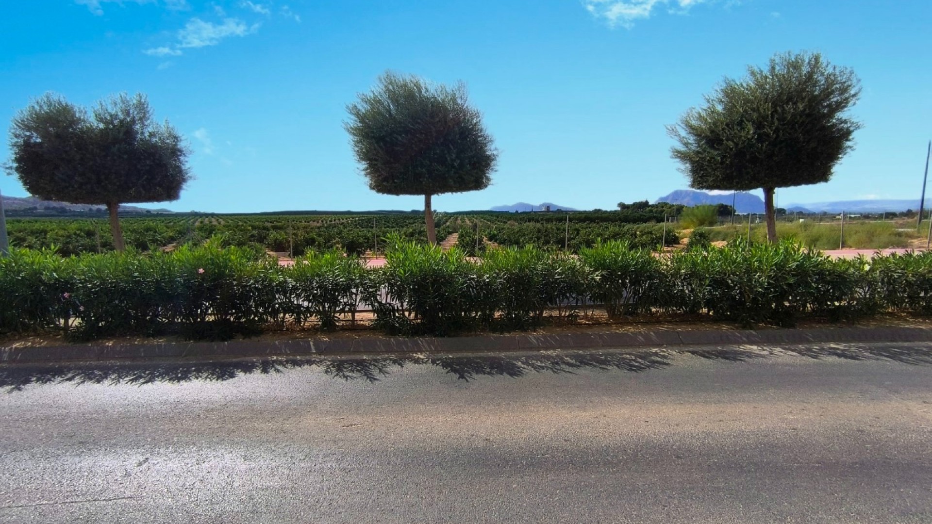 Sale - Apartment Flat -
Algorfa