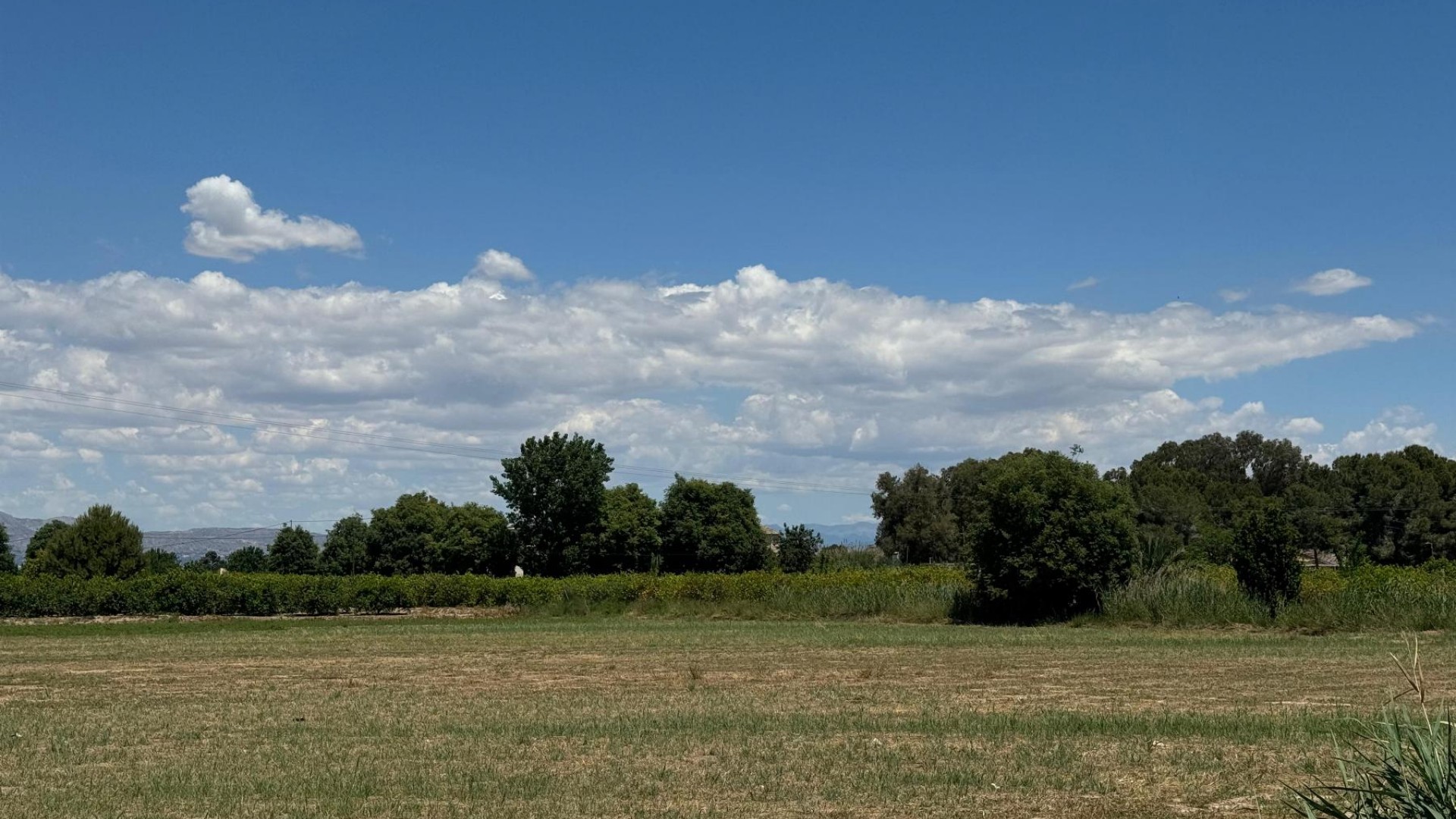 Sale - Apartment Flat -
Almoradí