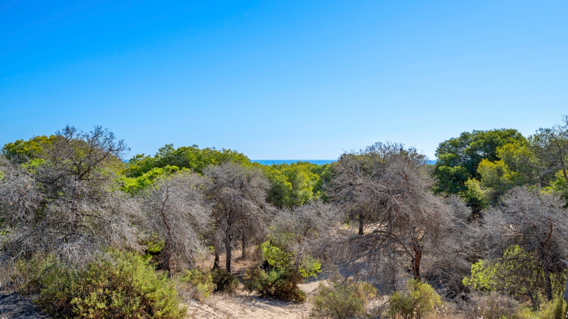 Sale - Apartment Flat -
Guardamar del Segura - Guardamar