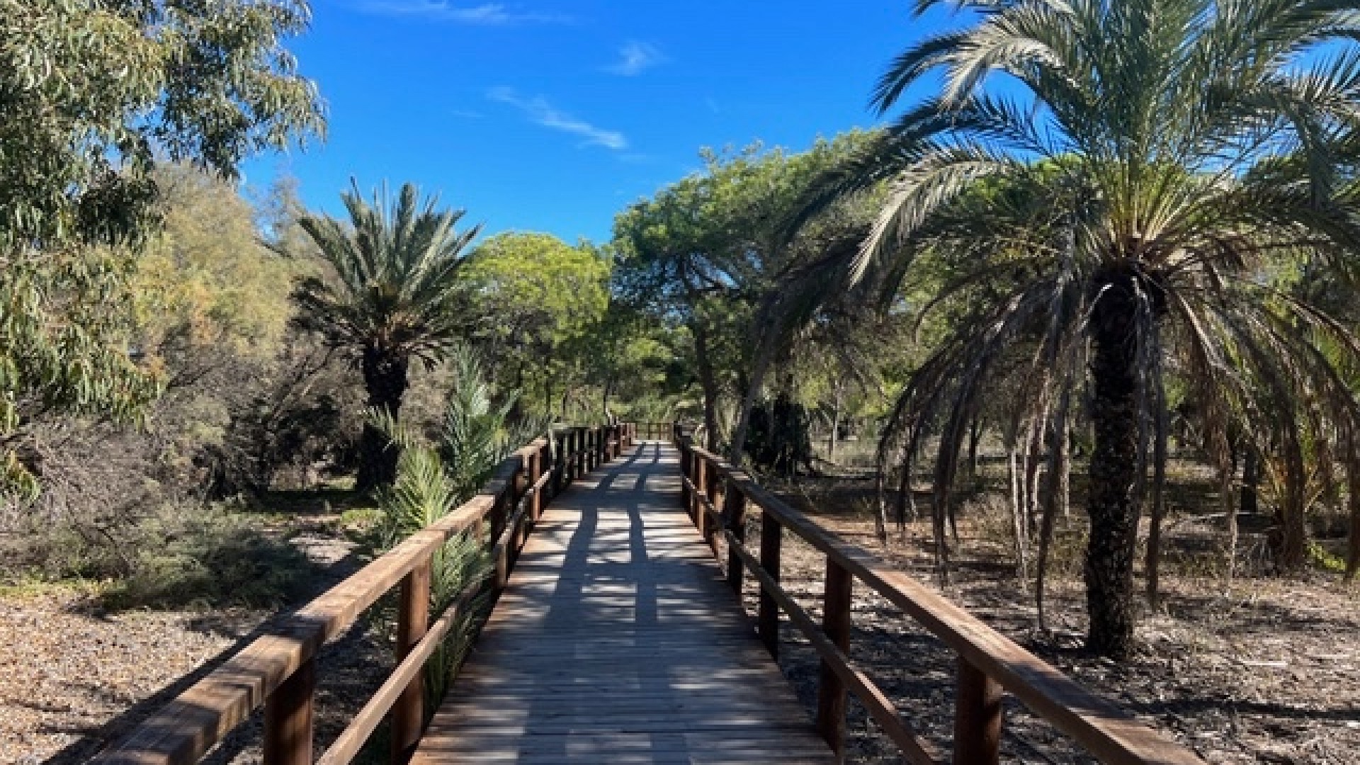 Sale - Apartment Flat -
Guardamar del Segura - Guarmar Del Segura