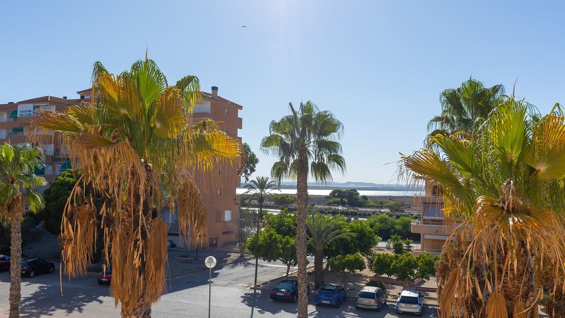 Sale - Apartment Flat -
Guardamar del Segura - Urb. pinomar