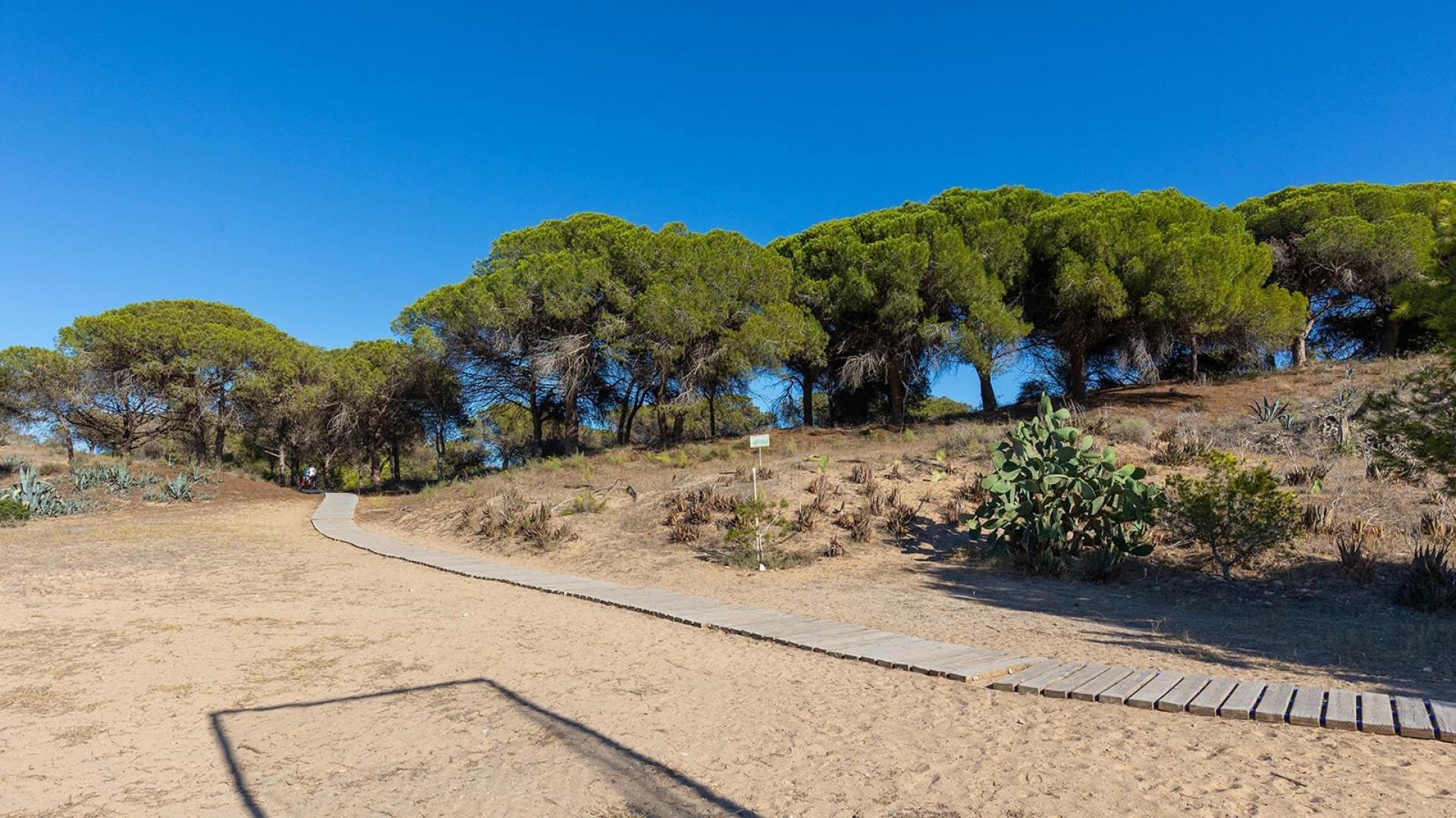 Sale - Apartment Flat -
Guardamar del Segura - Urb. pinomar