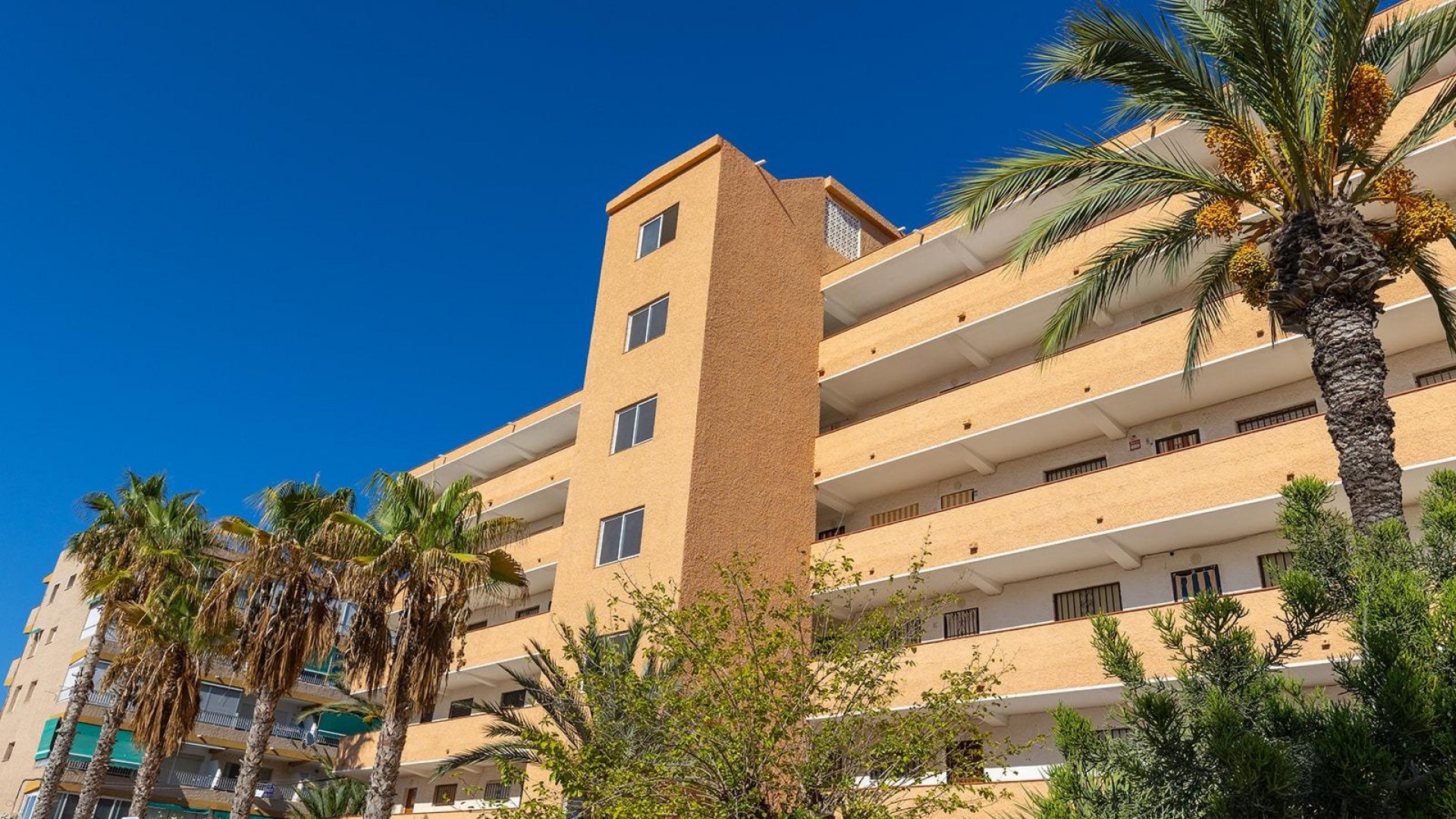 Sale - Apartment Flat -
Guardamar del Segura - Urb. pinomar