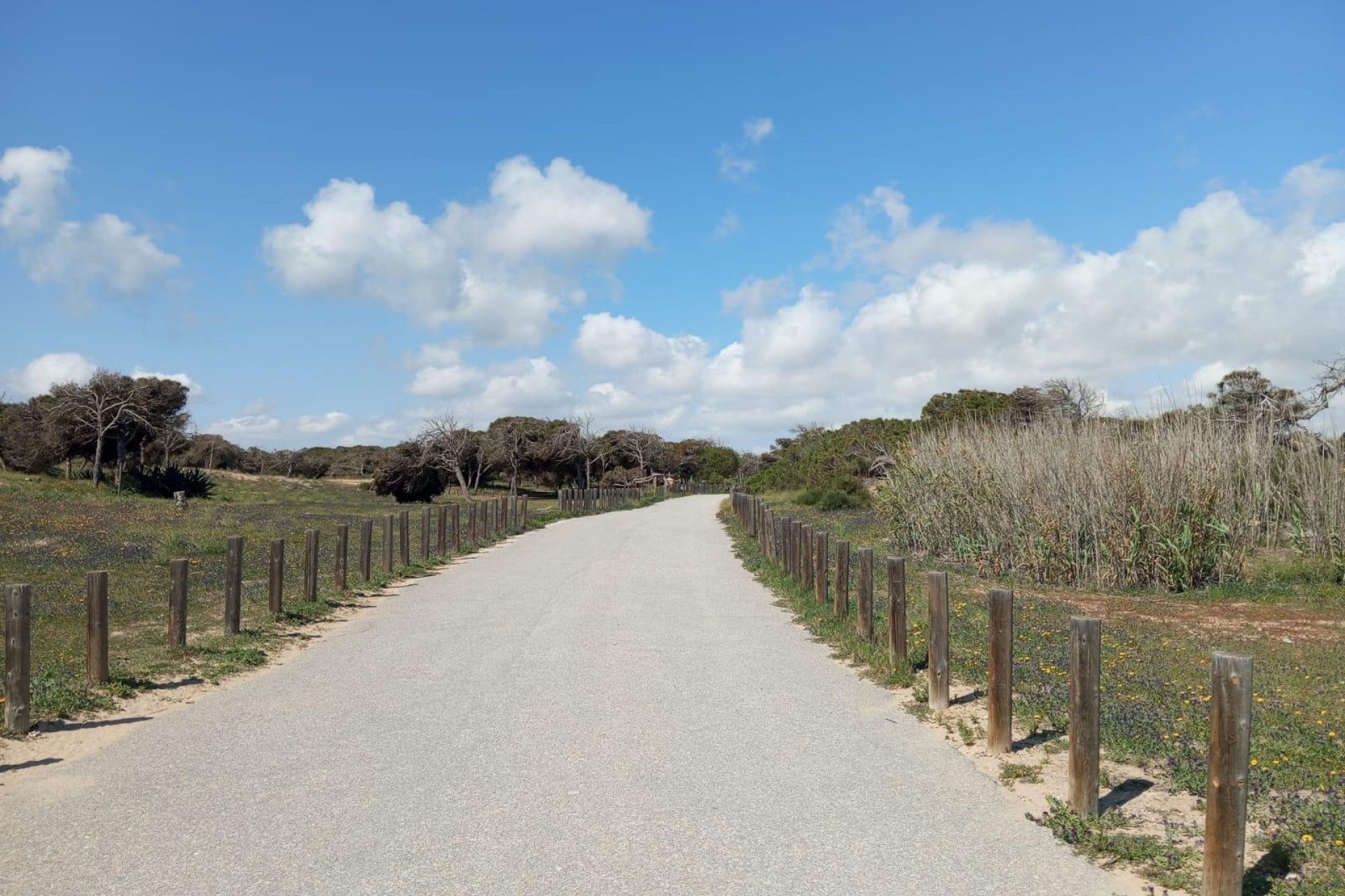 Sale - Apartment Flat -
Guardamar del Segura - Urbanizaciones