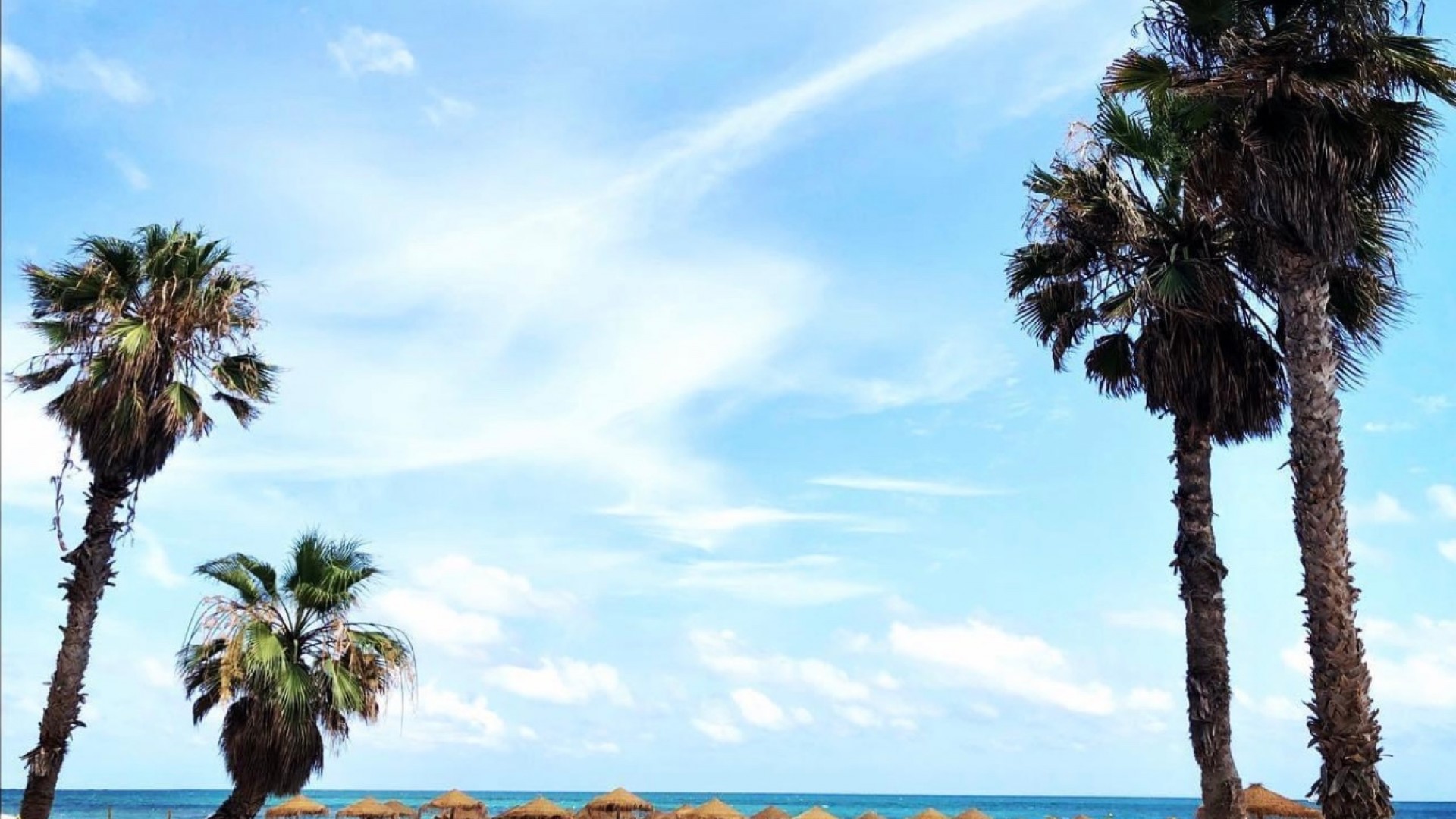 Sale - Apartment Flat -
La Mata - Costa Blanca