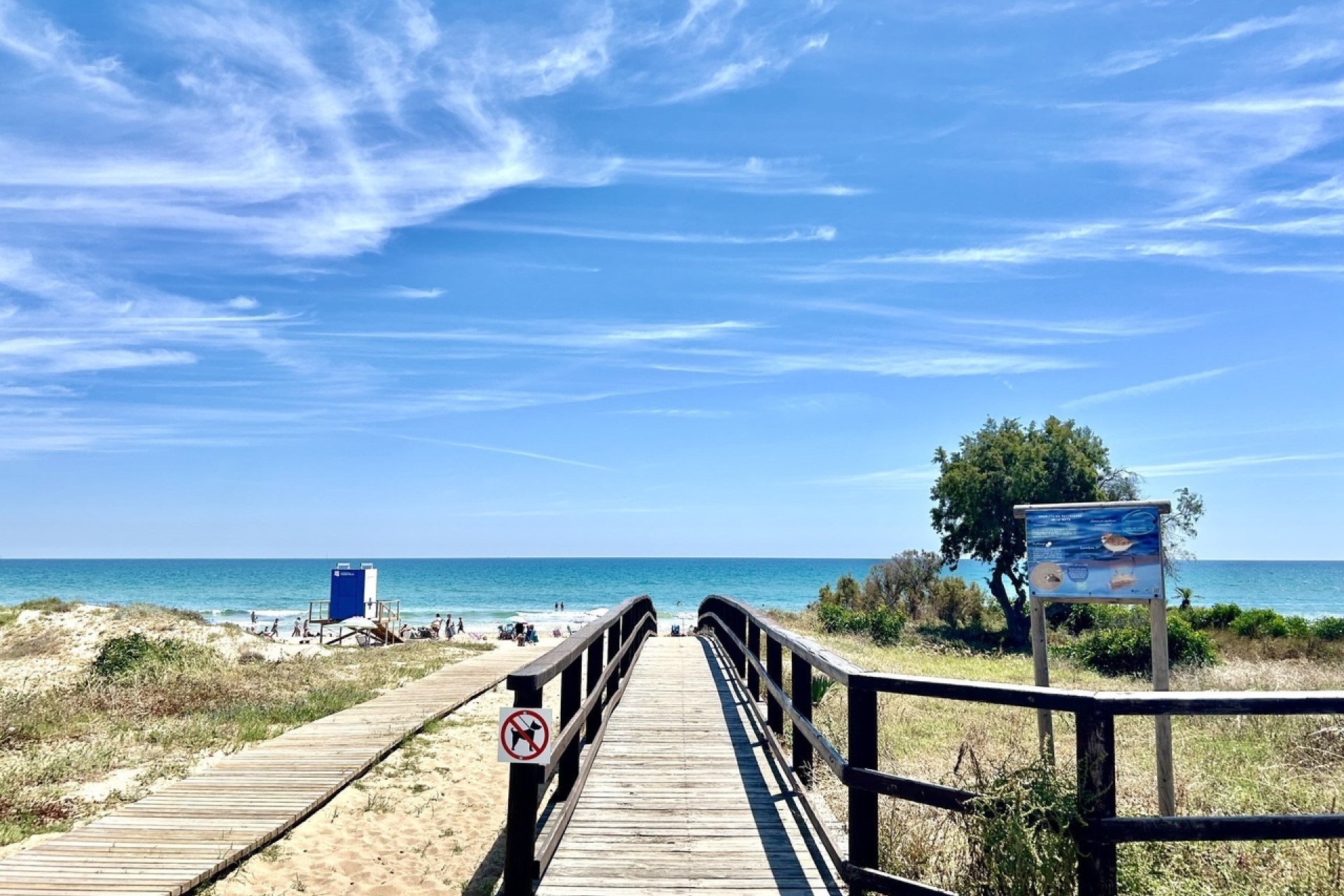 Sale - Apartment Flat -
La Mata - Costa Blanca