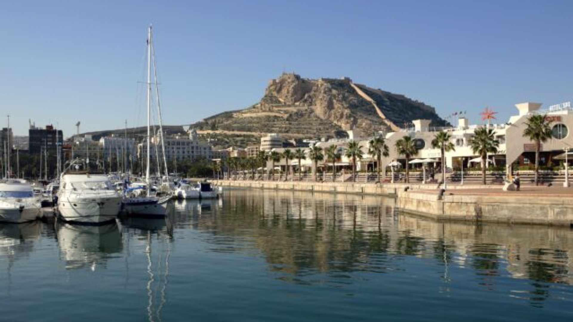 Sale - Apartment Flat -
La Mata