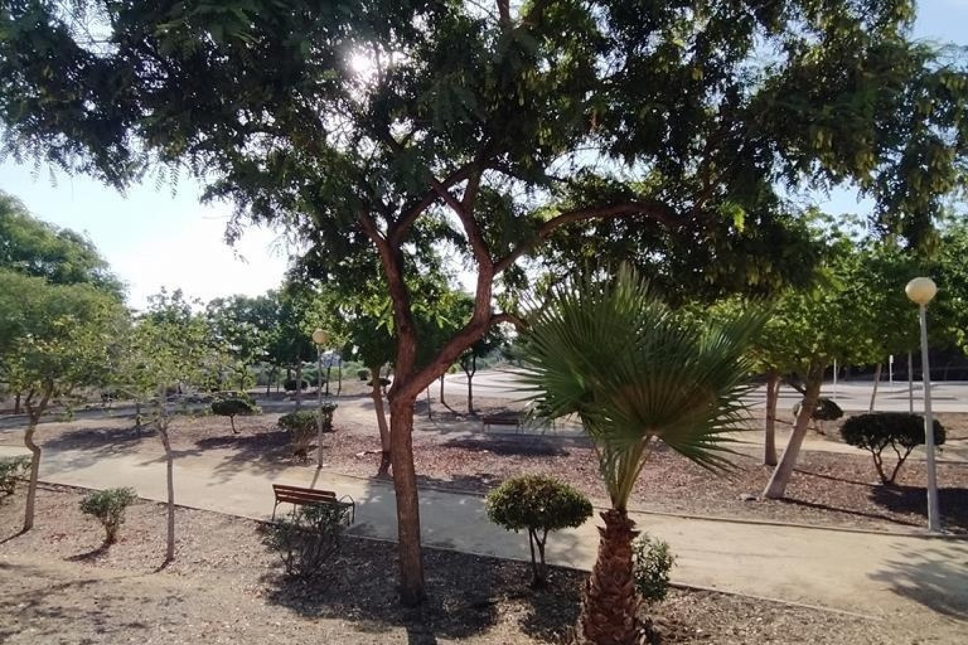 Sale - Apartment Flat -
Orihuela Costa - LOMAS CABO ROIG