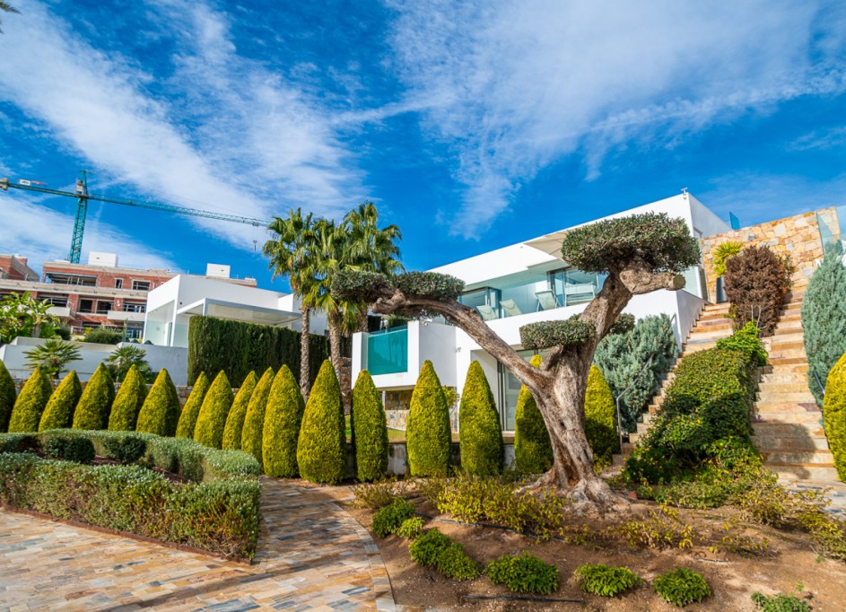 Sale - Apartment Flat -
Orihuela