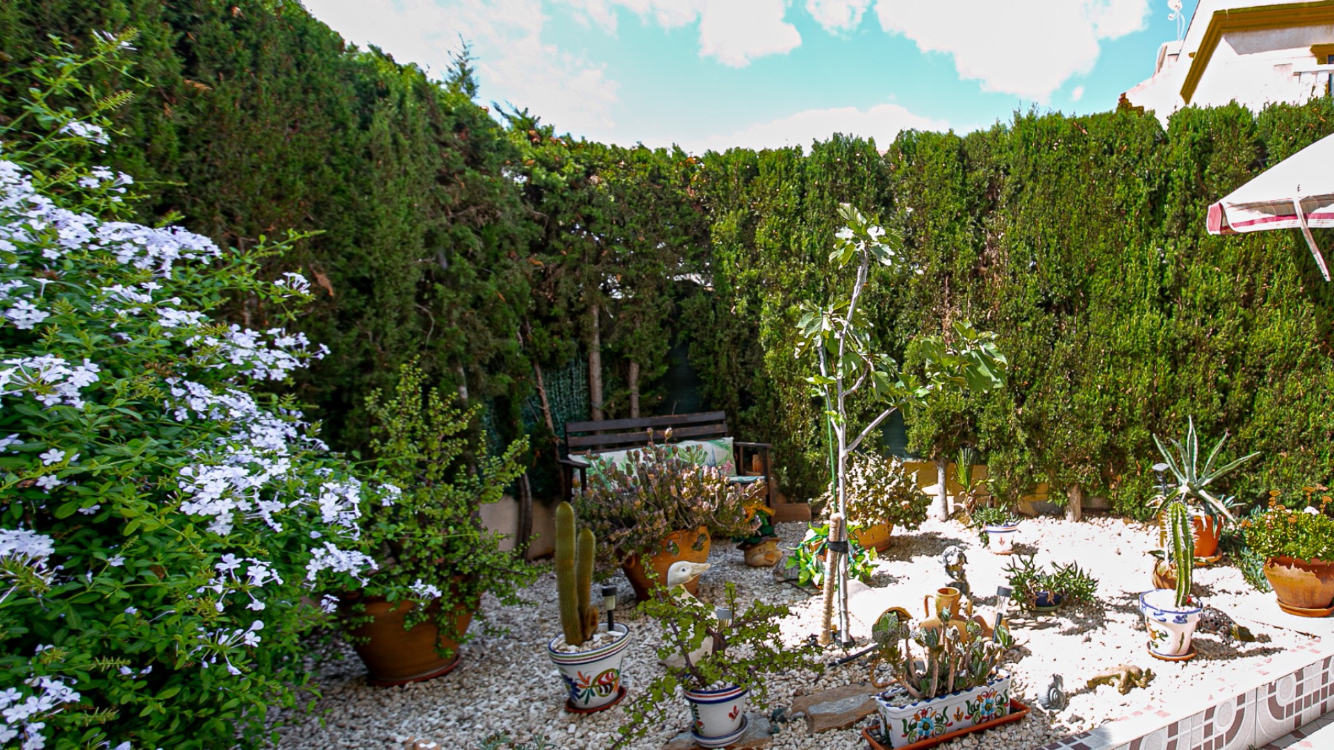 Sale - Apartment Flat -
Playa Flamenca