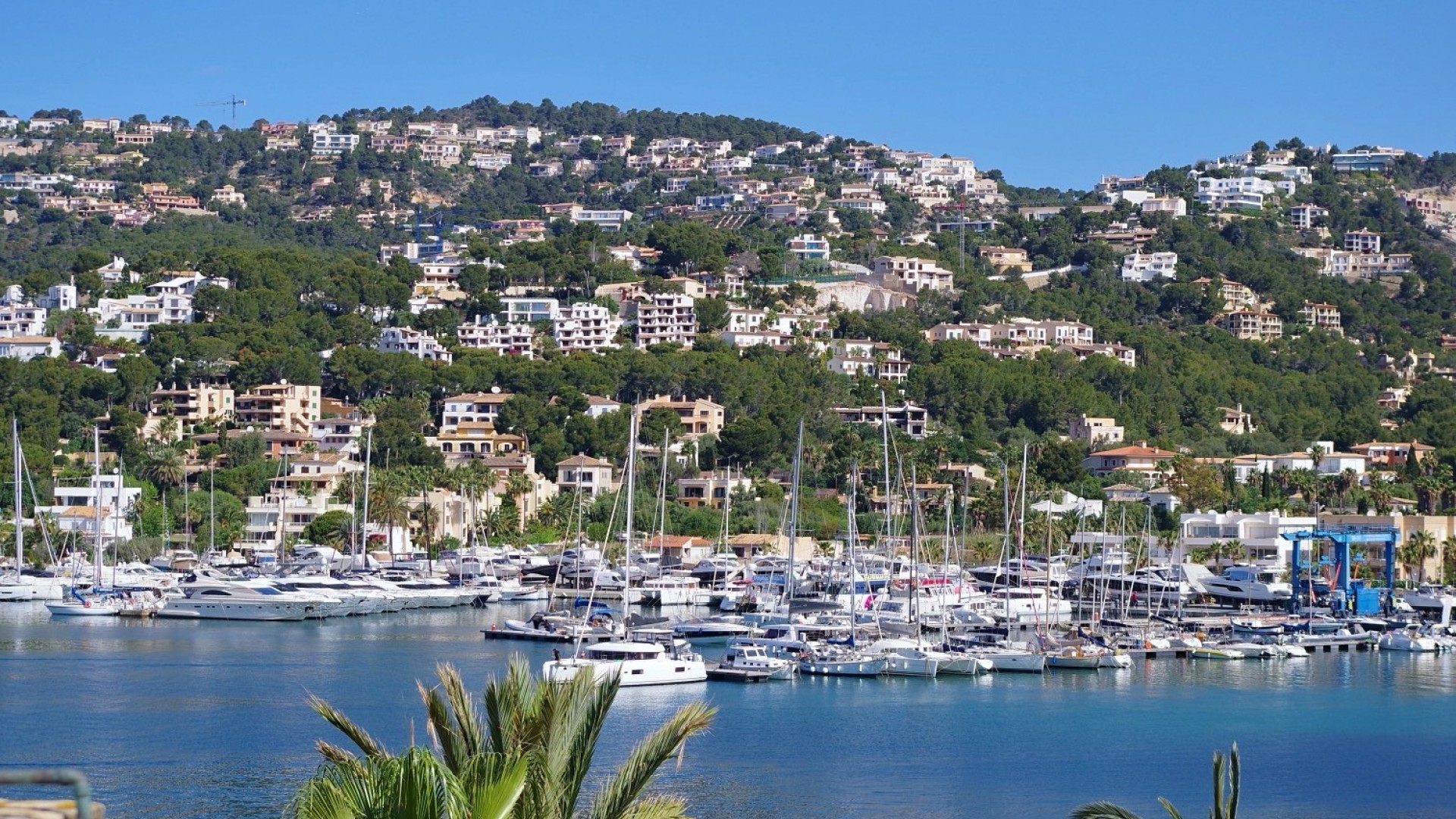 Sale - Apartment Flat -
Port d'Andratx - Andratx