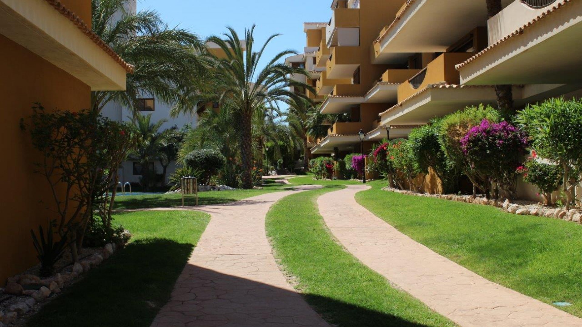 Sale - Apartment Flat -
Punta Prima - La Entrada