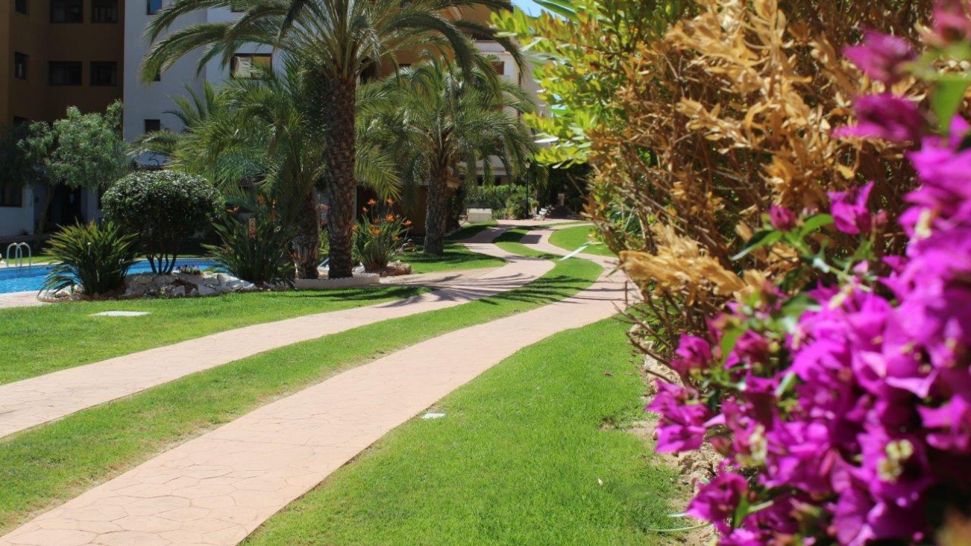 Sale - Apartment Flat -
Punta Prima - La Entrada