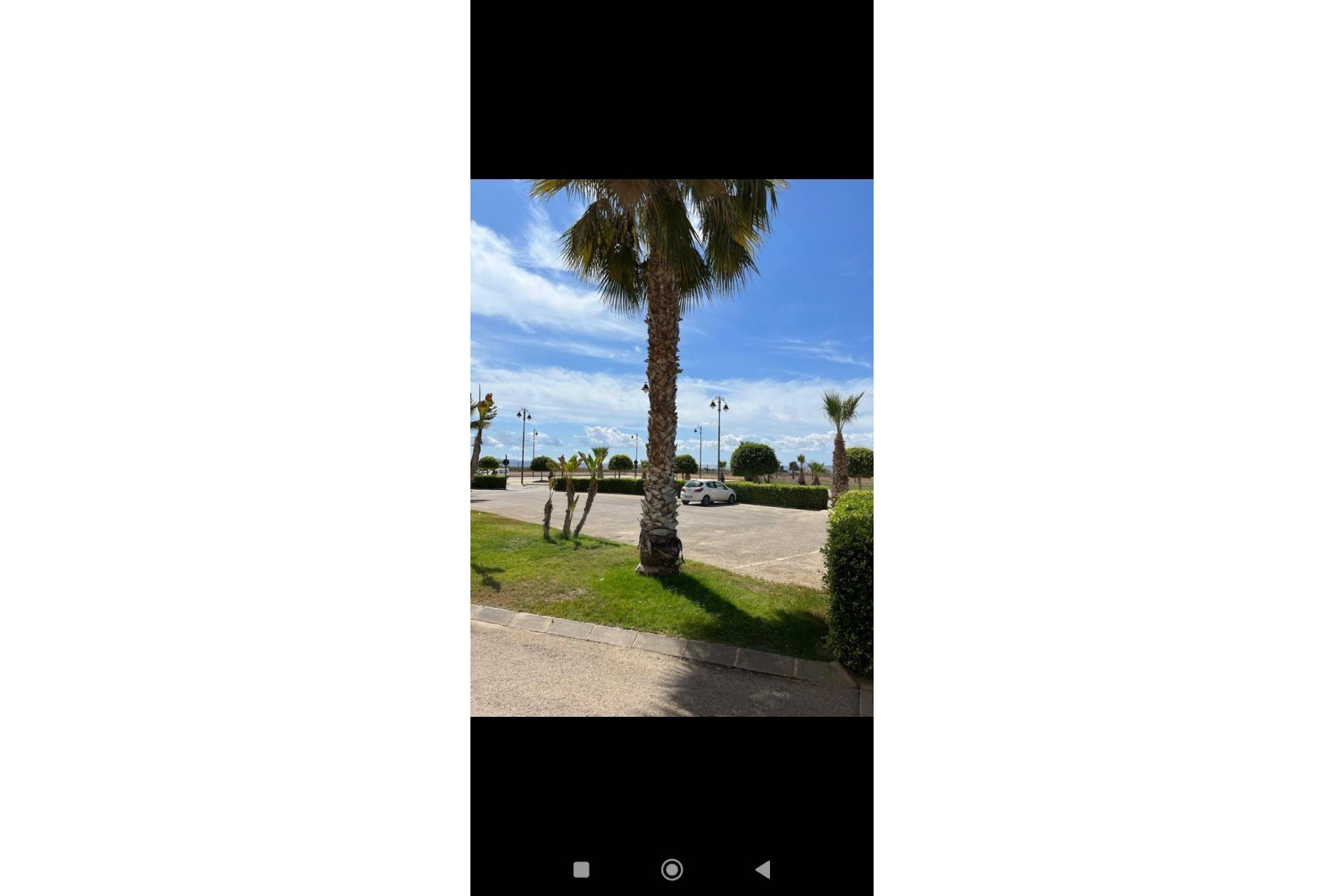 Sale - Apartment Flat -
Torre Pacheco - Roldán