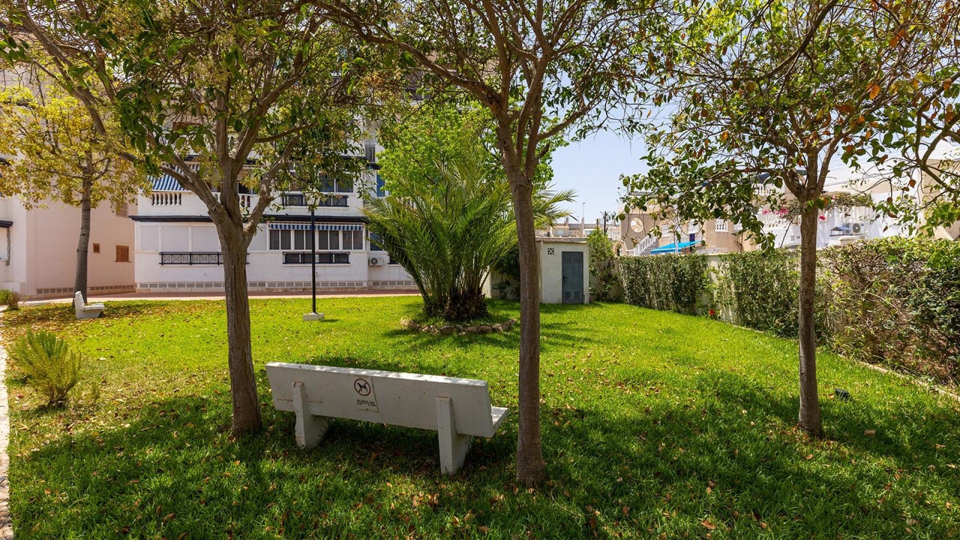 Sale - Apartment Flat -
Torrevieja - Cañada del Molino