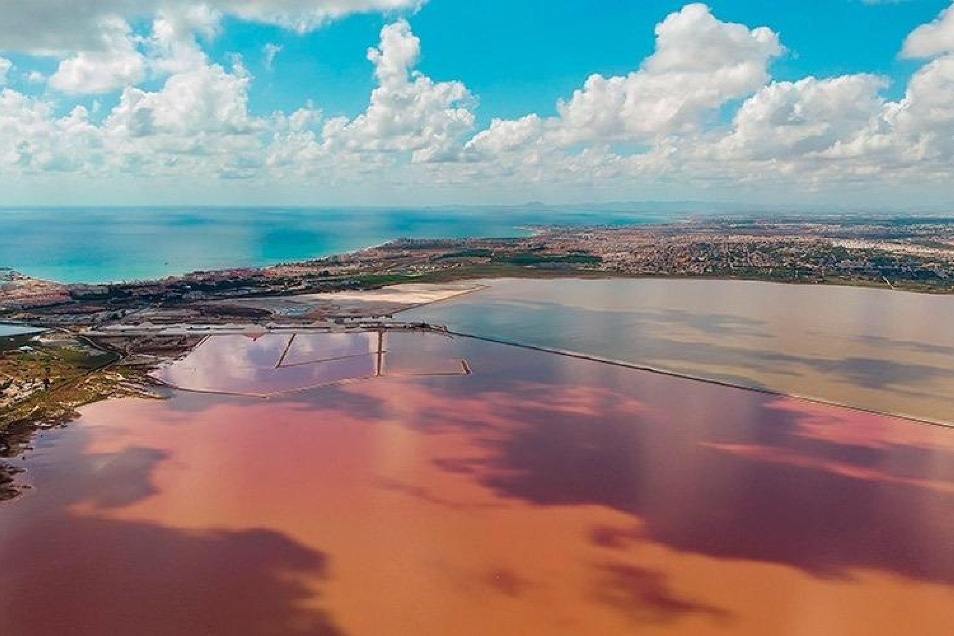 Sale - Apartment Flat -
Torrevieja - La Mata