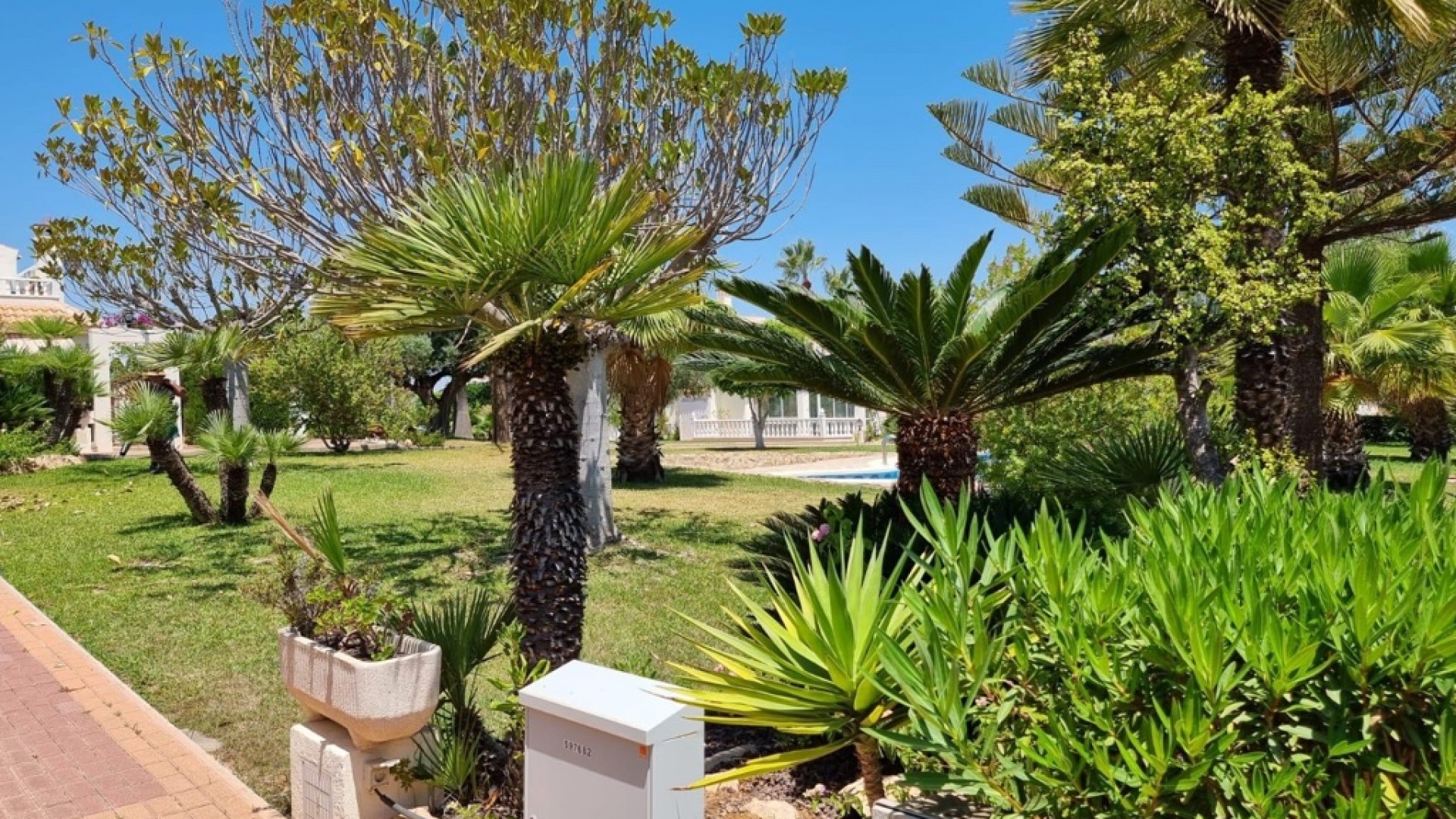 Sale - Apartment Flat -
Torrevieja - Los Balcones