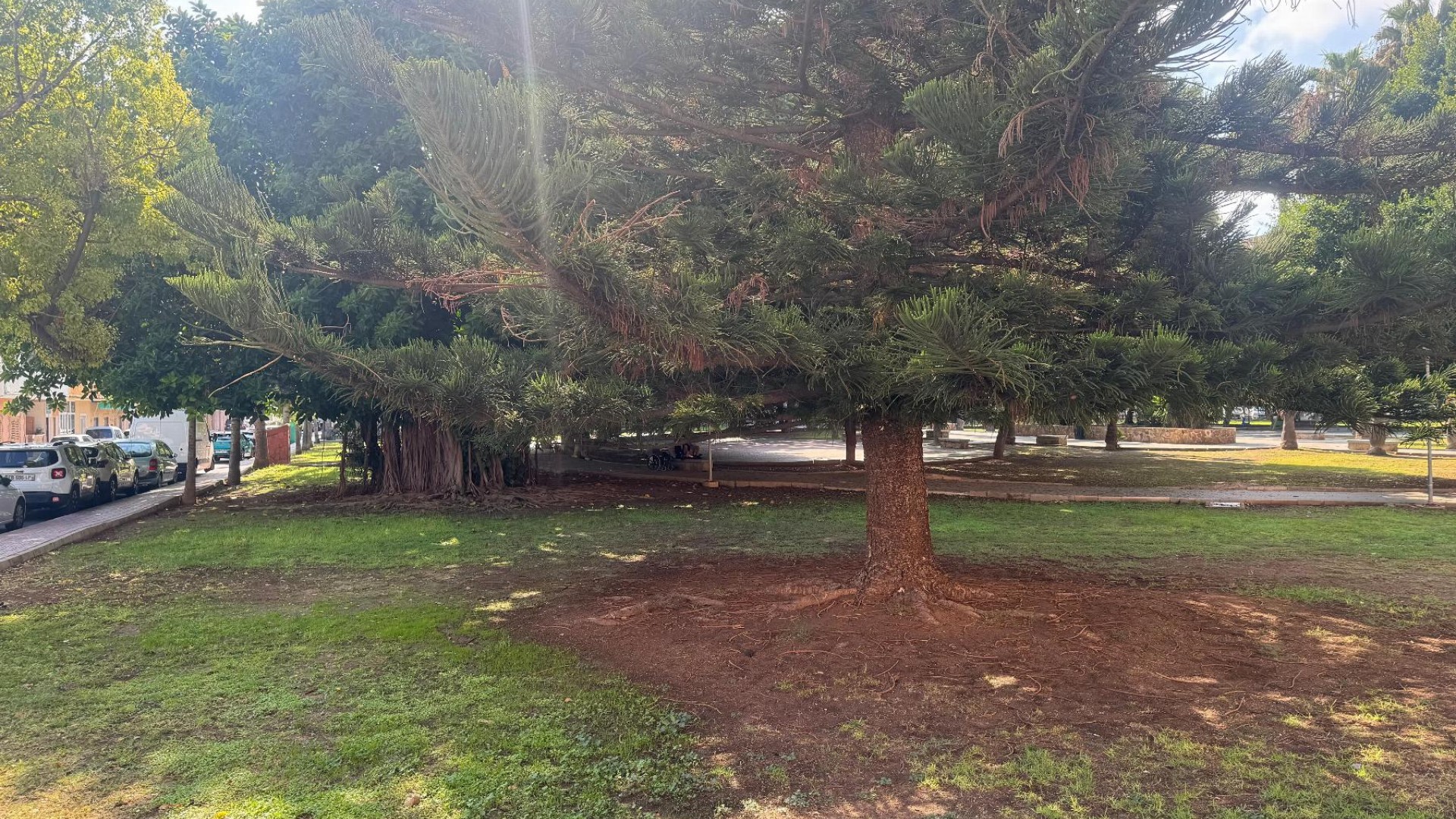 Sale - Apartment Flat -
Torrevieja - Playa del Acequión