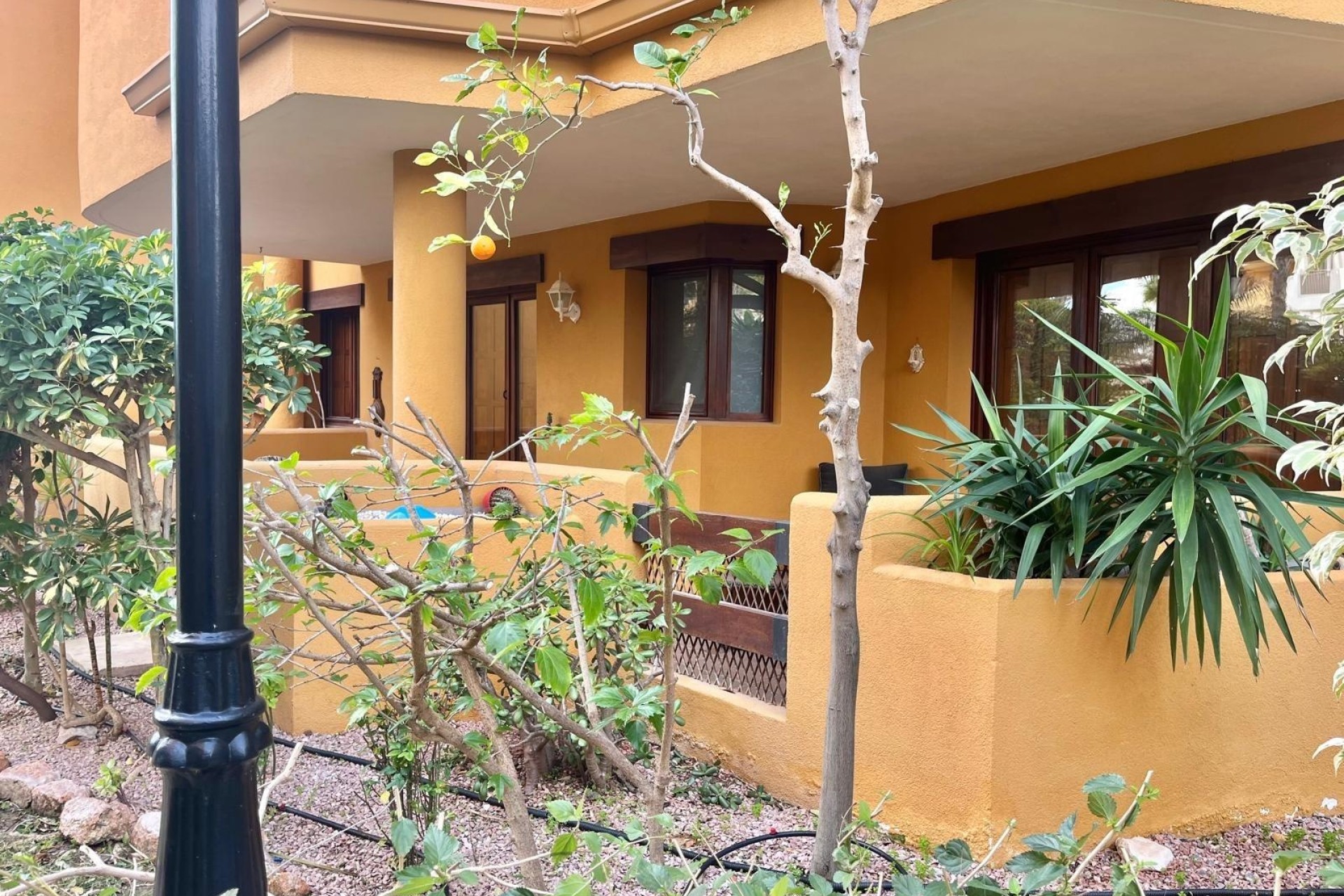 Sale - Apartment Flat -
Torrevieja - Punta Prima