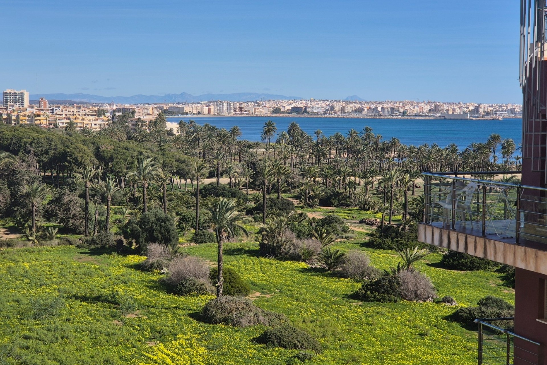 Sale - Apartment Flat -
Torrevieja - Punta Prima