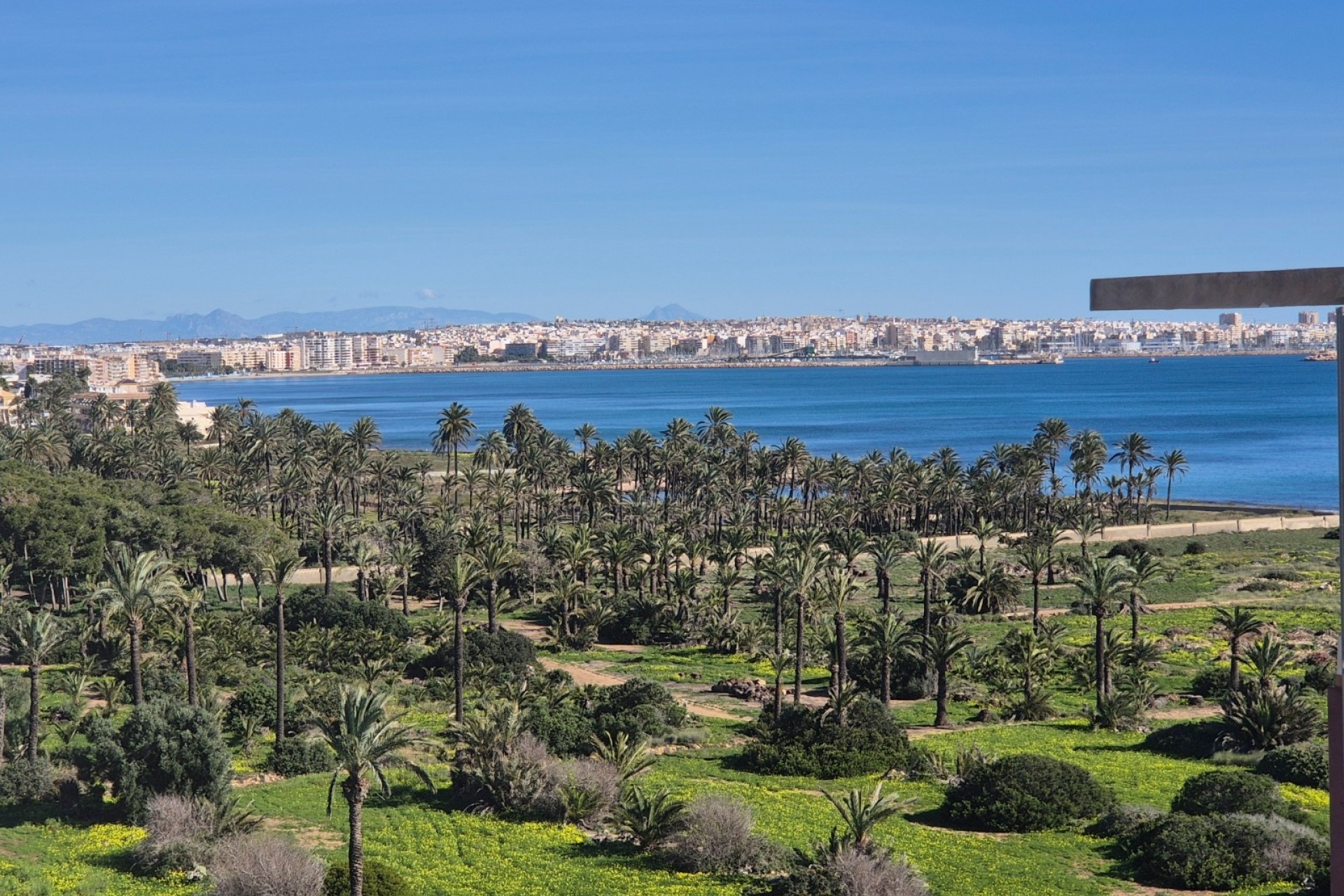 Sale - Apartment Flat -
Torrevieja - Punta Prima