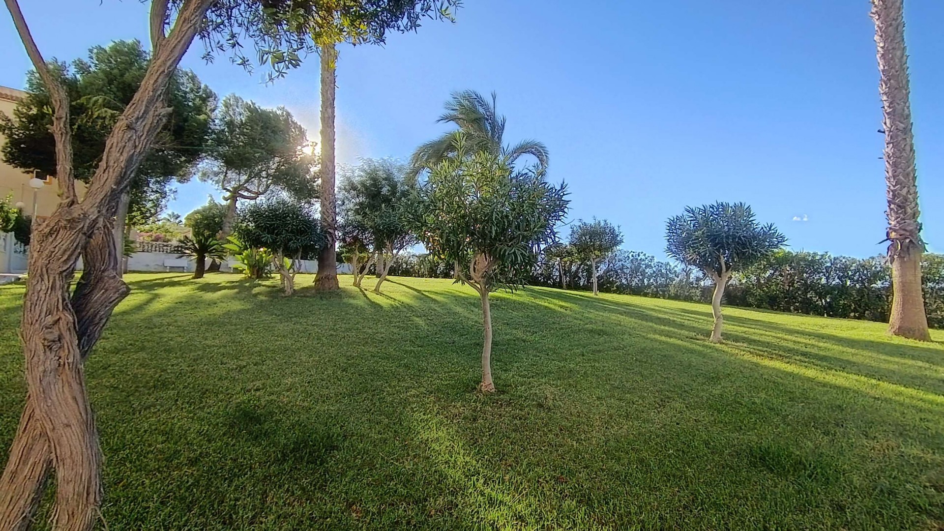 Sale - Apartment Flat -
Torrevieja