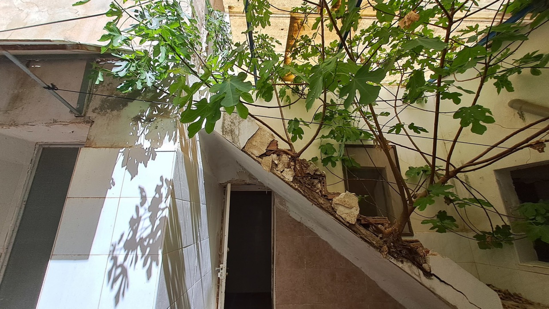 Sale - Commercial -
Orihuela