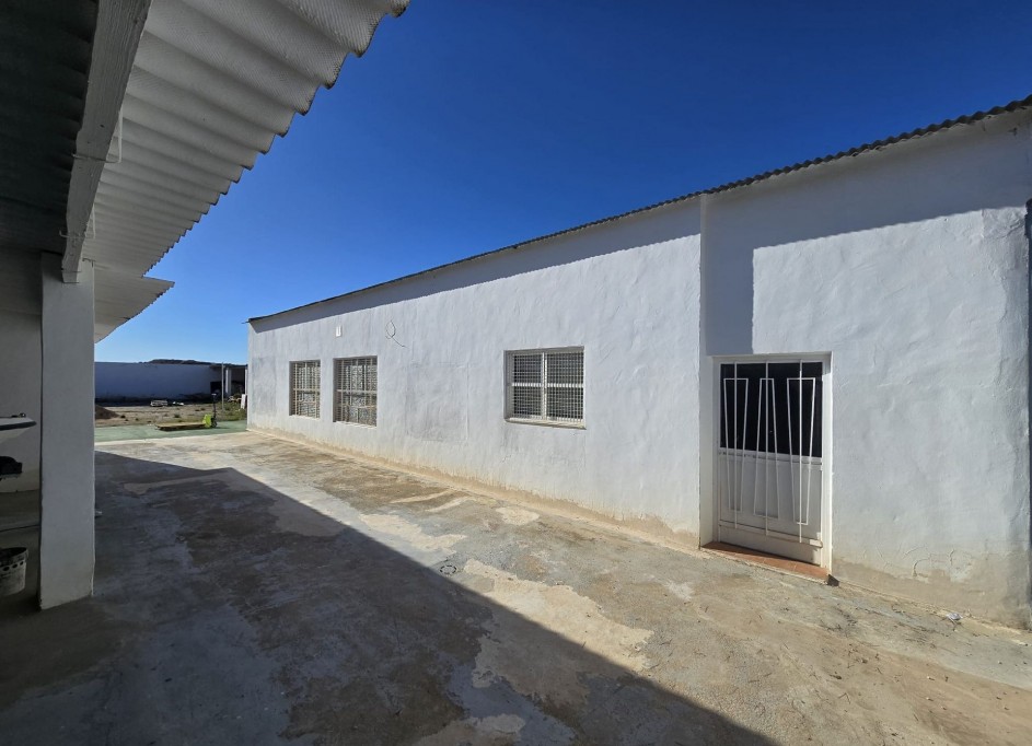 Sale - Commercial -
SAX