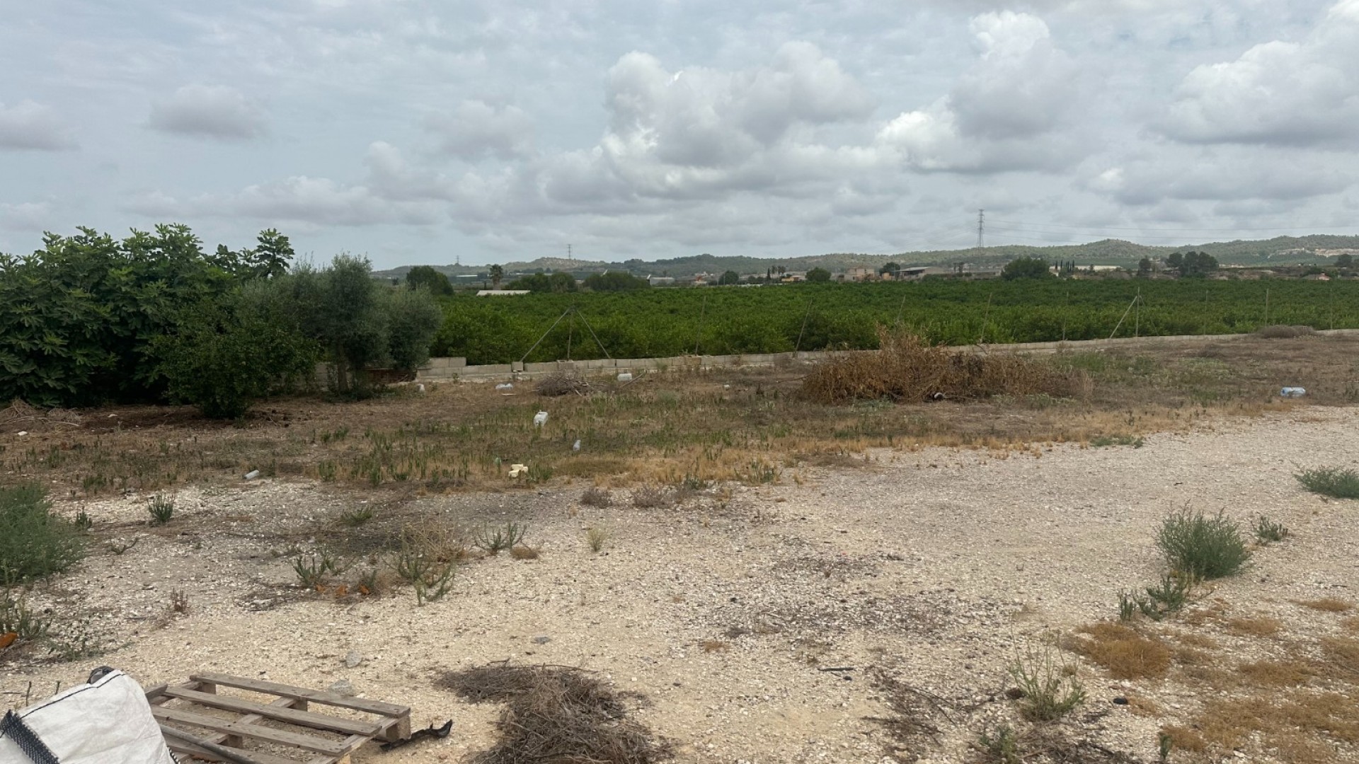 Sale - Commercial -
Torremendo