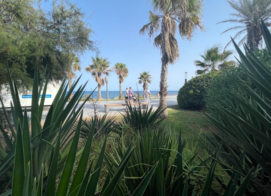 Sale - Commercial -
Torrevieia - Comunidad Valenciana