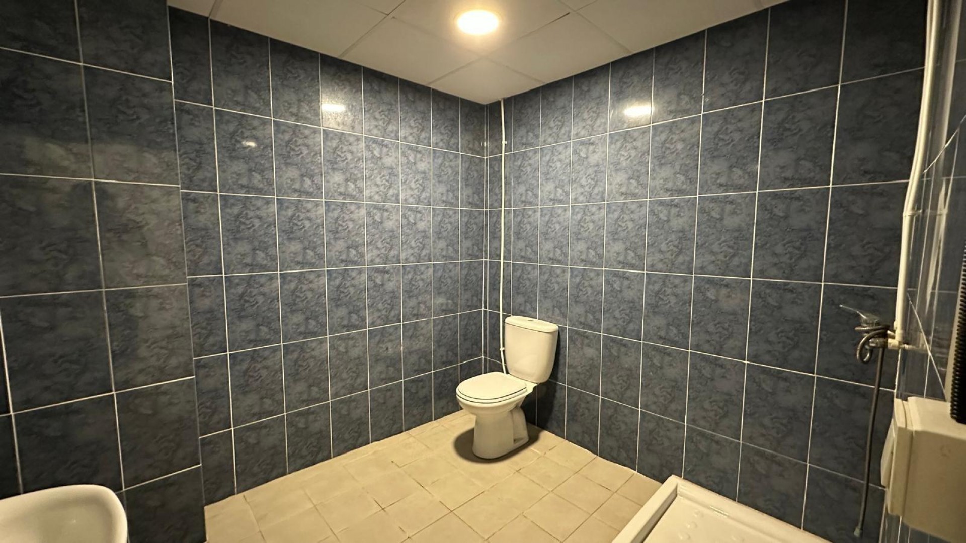 Sale - Commercial -
Torrevieja - Paseo maritimo