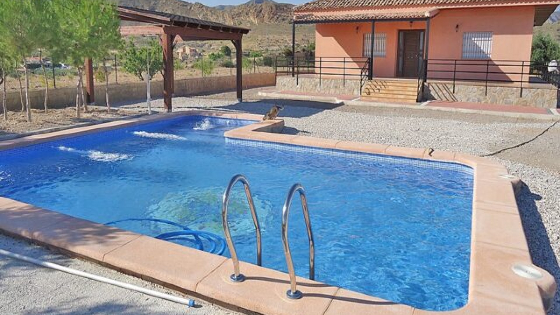 Sale - Detached Villa -
Abanilla - ABANILLA