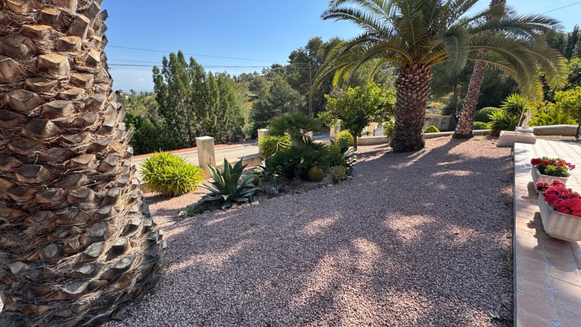 Sale - Detached Villa -
Algorfa - Lomas de La Juliana