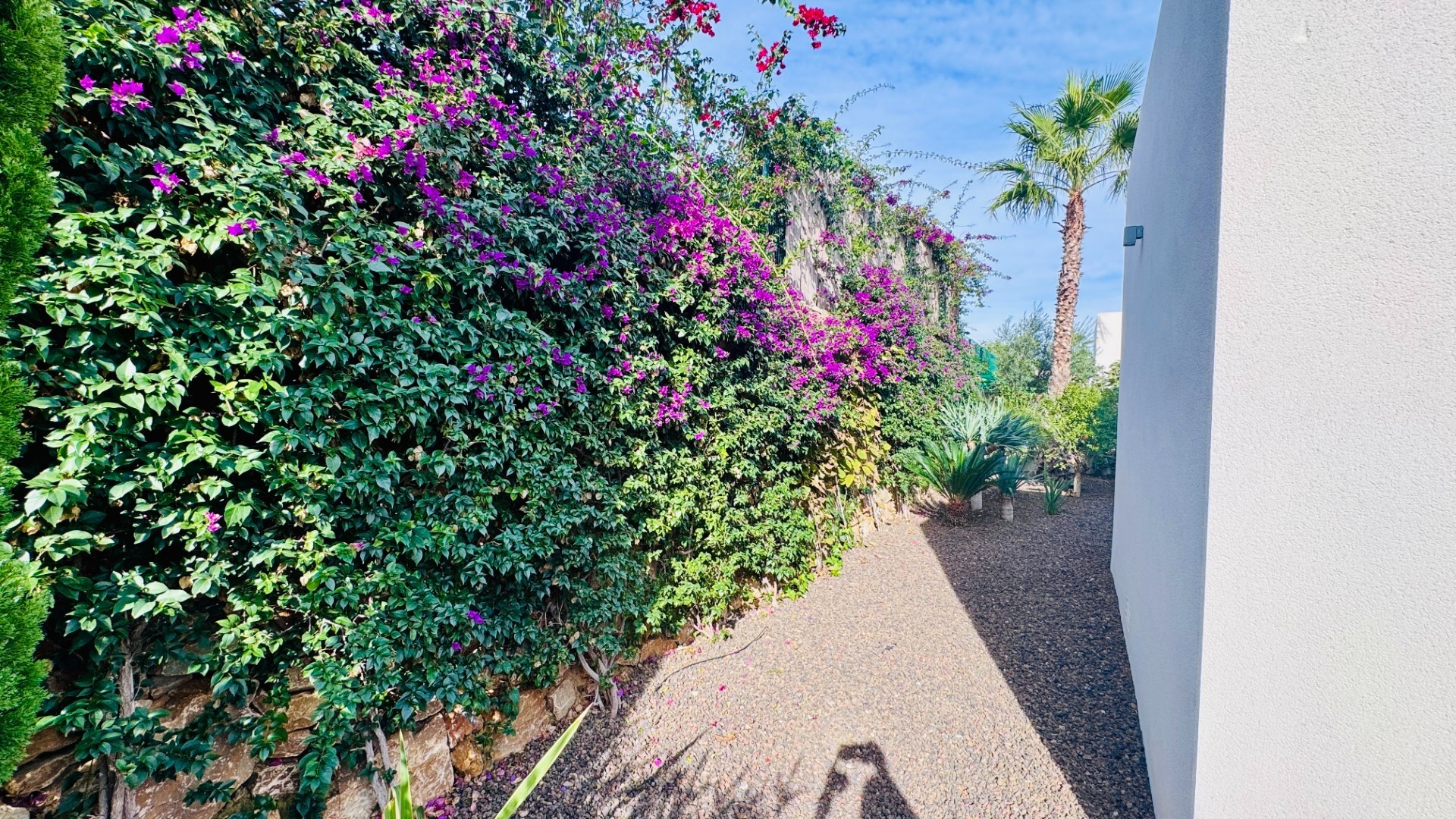 Sale - Detached Villa -
Algorfa