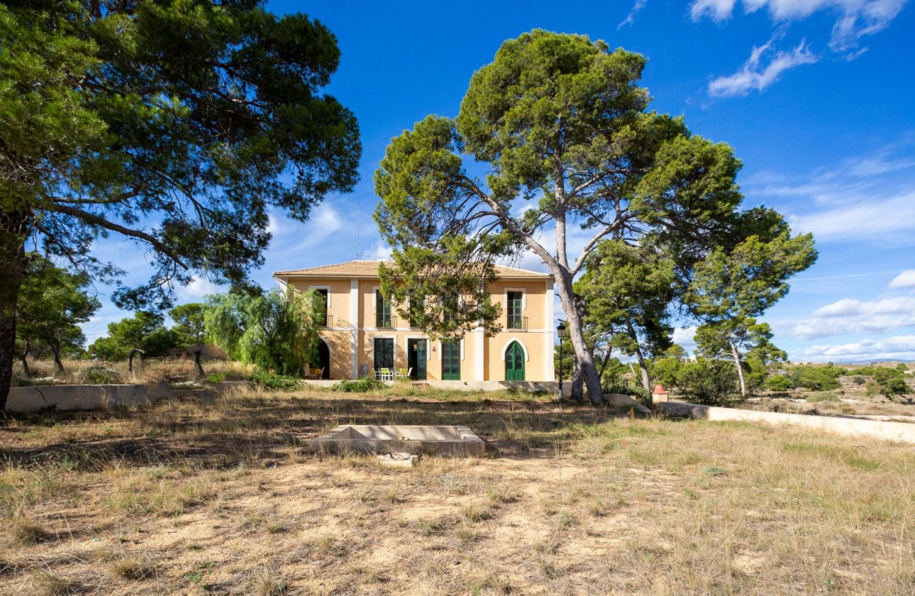 Sale - Detached Villa -
Alicante - Costa Blanca