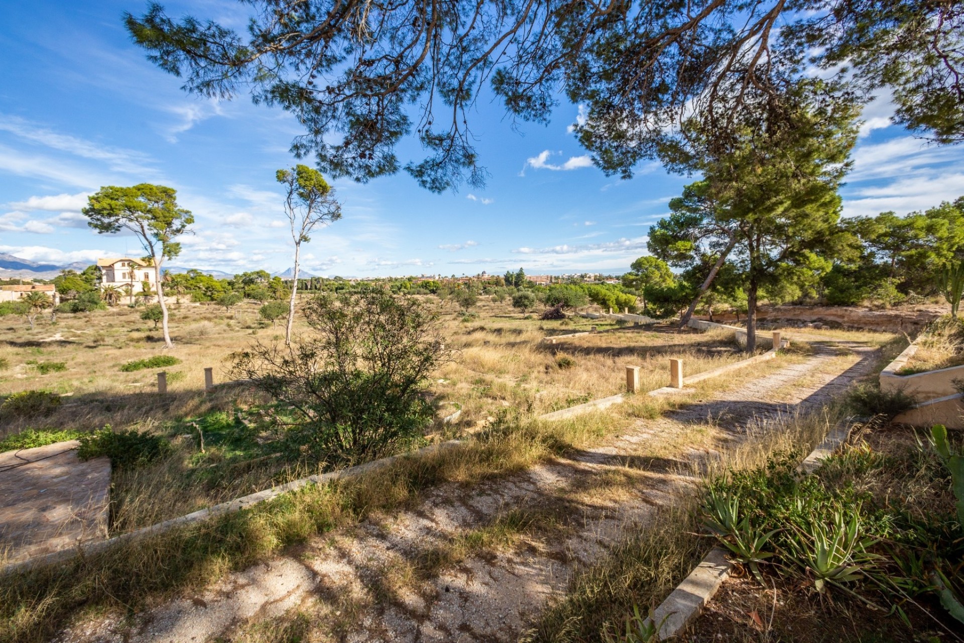 Sale - Detached Villa -
Alicante - Costa Blanca
