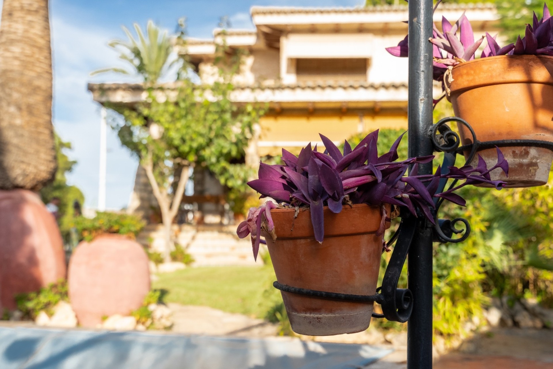 Sale - Detached Villa -
Alicante - Costa Blanca