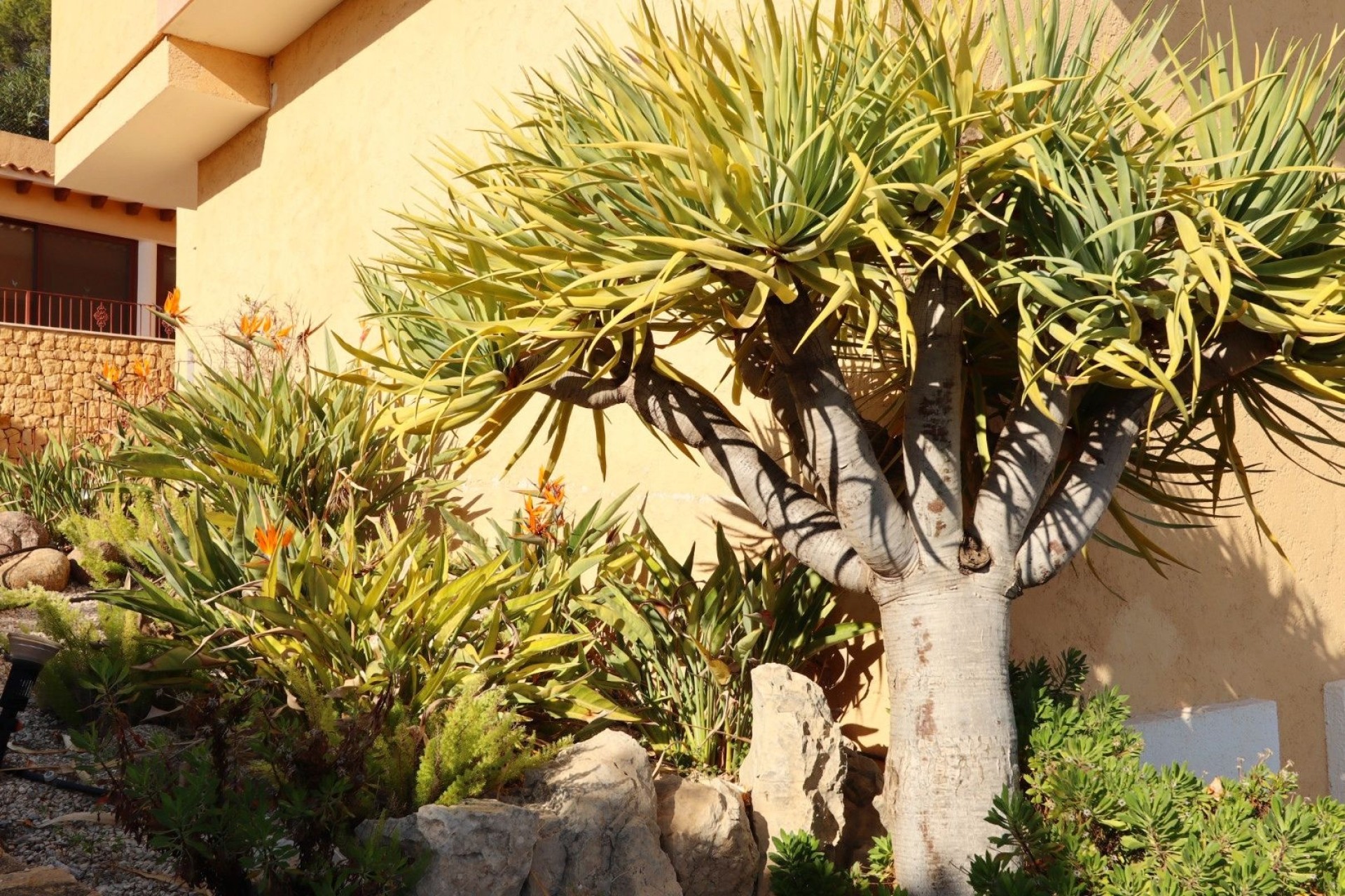 Sale - Detached Villa -
Altea - Costa Blanca