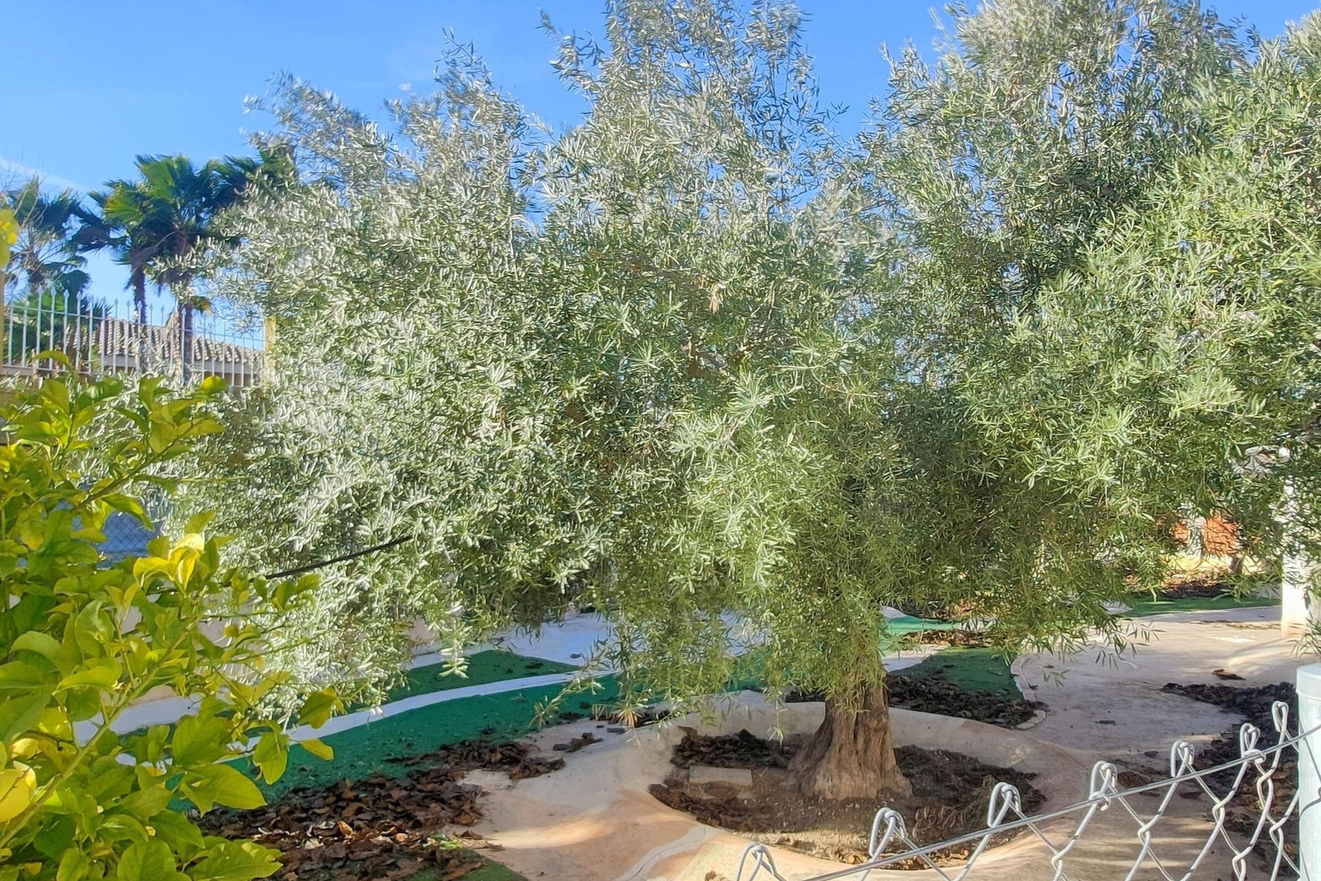 Sale - Detached Villa -
Aspe