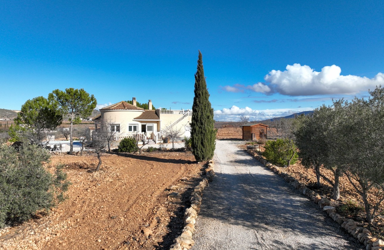 Sale - Detached Villa -
Cañada del Trigo - Canada Del Trigo