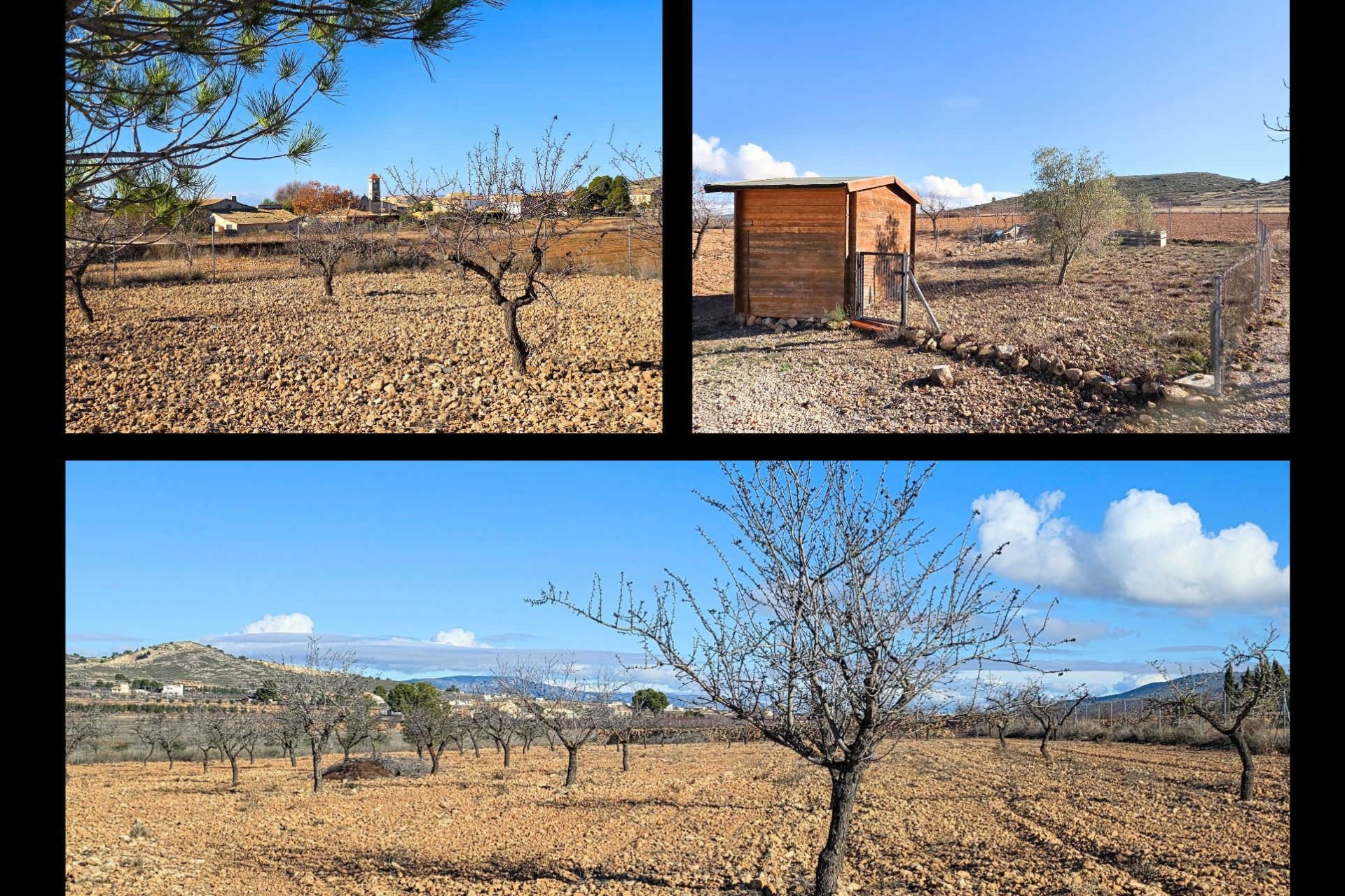 Sale - Detached Villa -
Canada Del Trigo