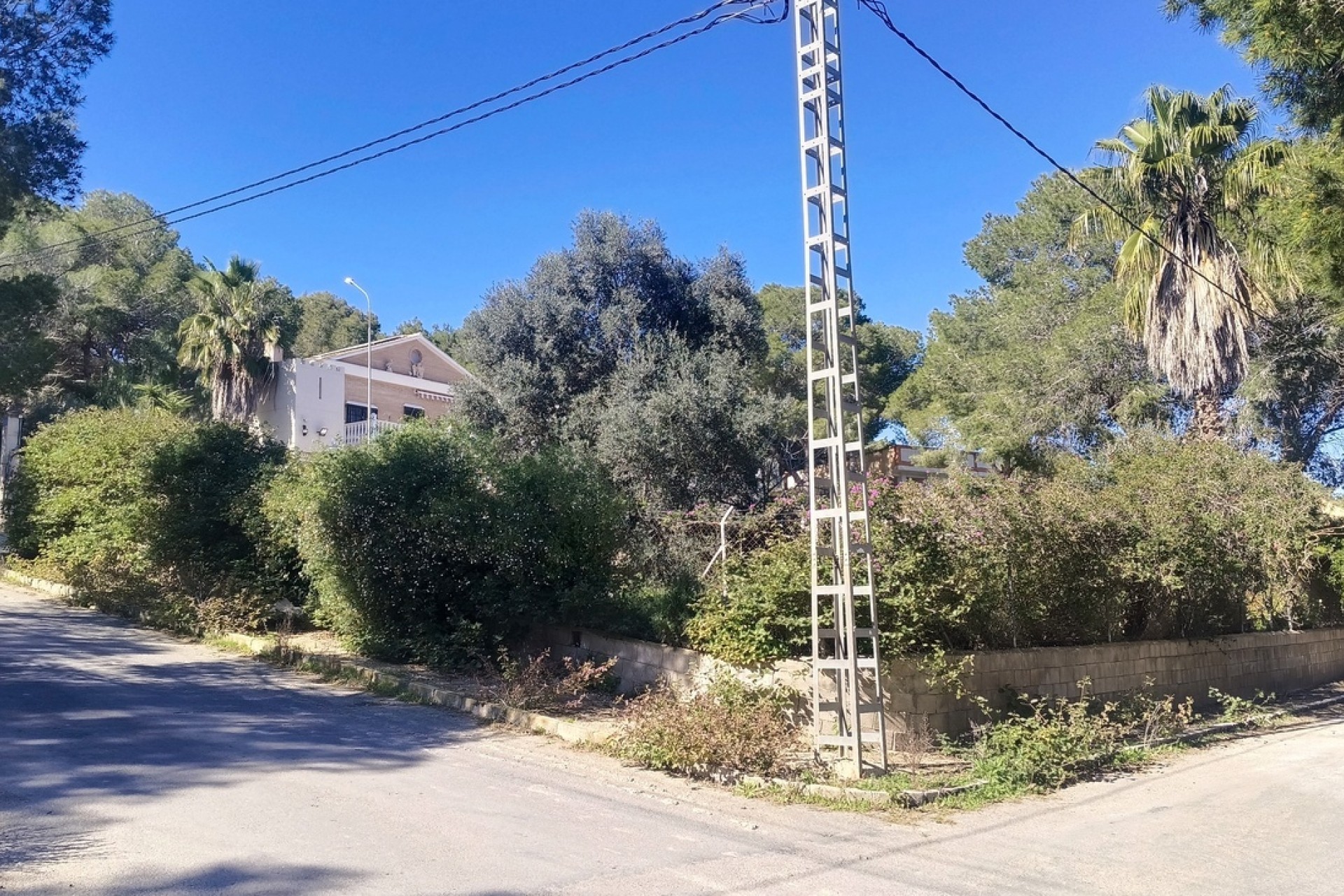 Sale - Detached Villa -
Cañadas de San Pedro - Inland
