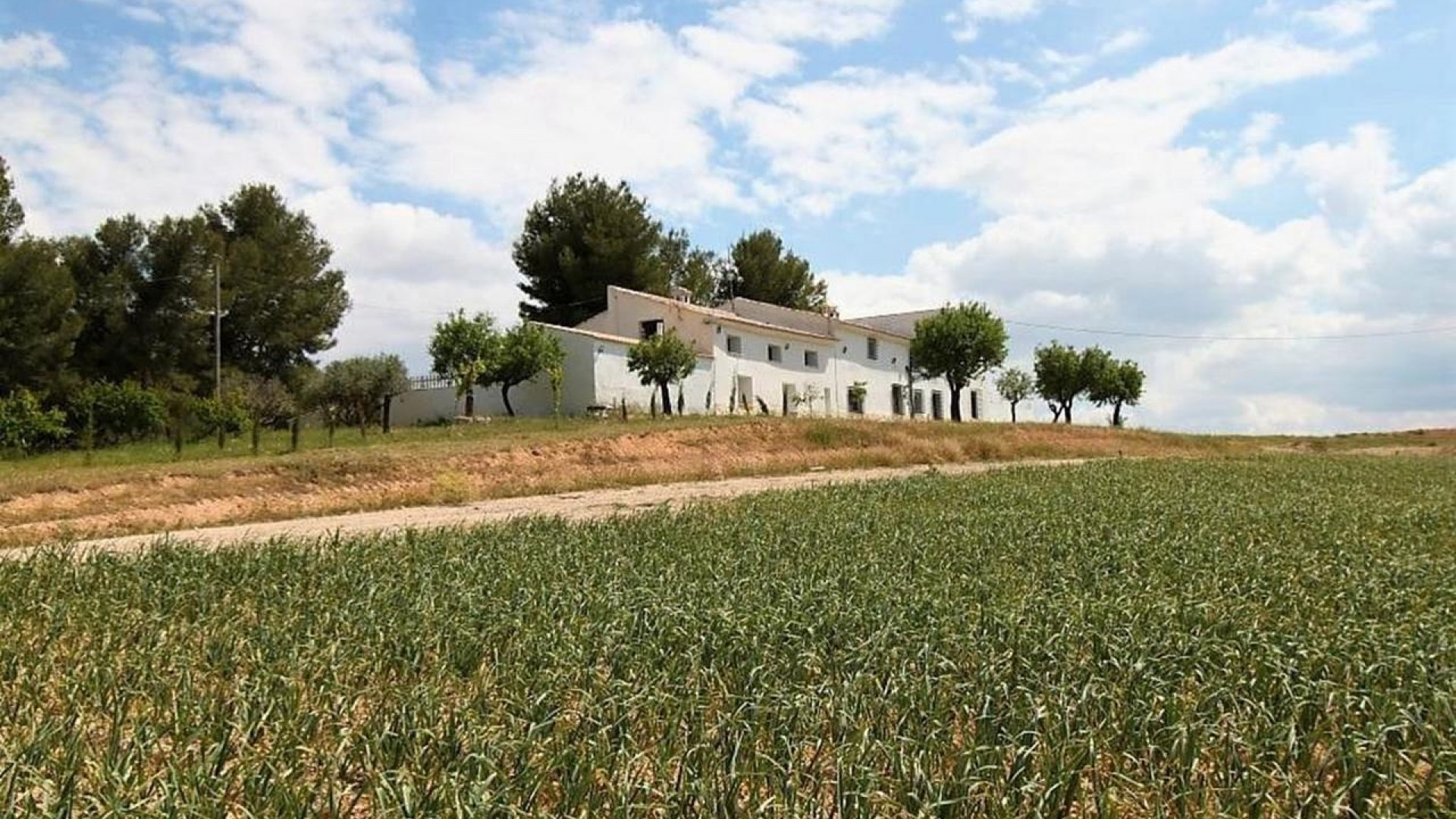 Sale - Detached Villa -
Caravaca de la cruz - Caravaca de la Cruz