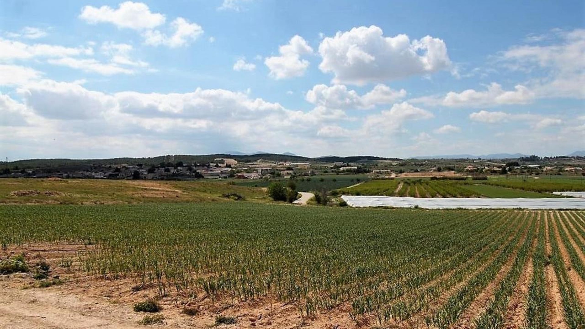 Sale - Detached Villa -
Caravaca de la cruz - Caravaca de la Cruz